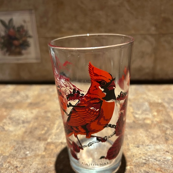 Other - Cardinal Design Glass Tumbler